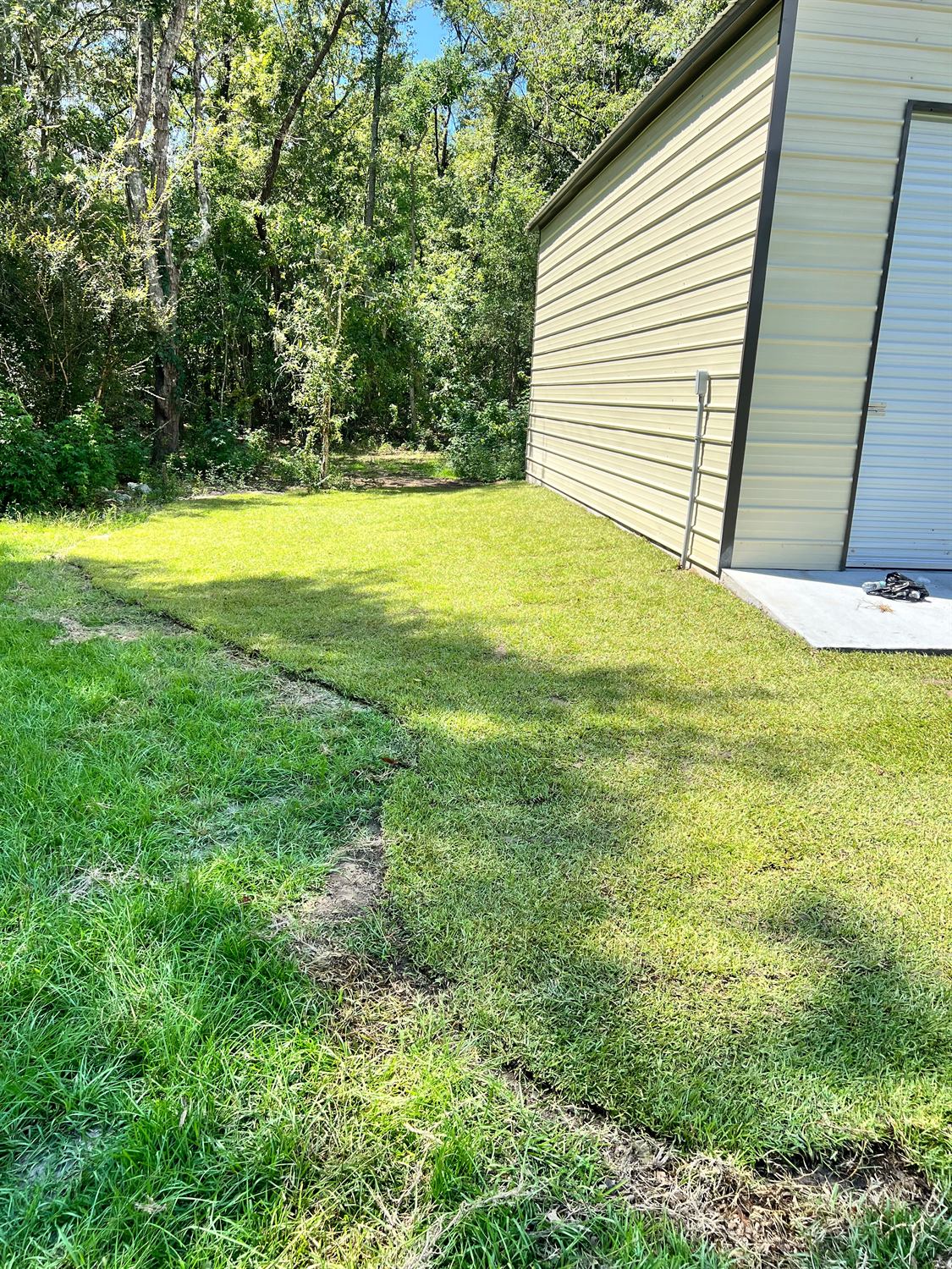 Strip of new sod along the shaded side of a metal building